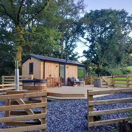 Ty Nant Gwenyn Villa Llanymawddwy Exterior photo